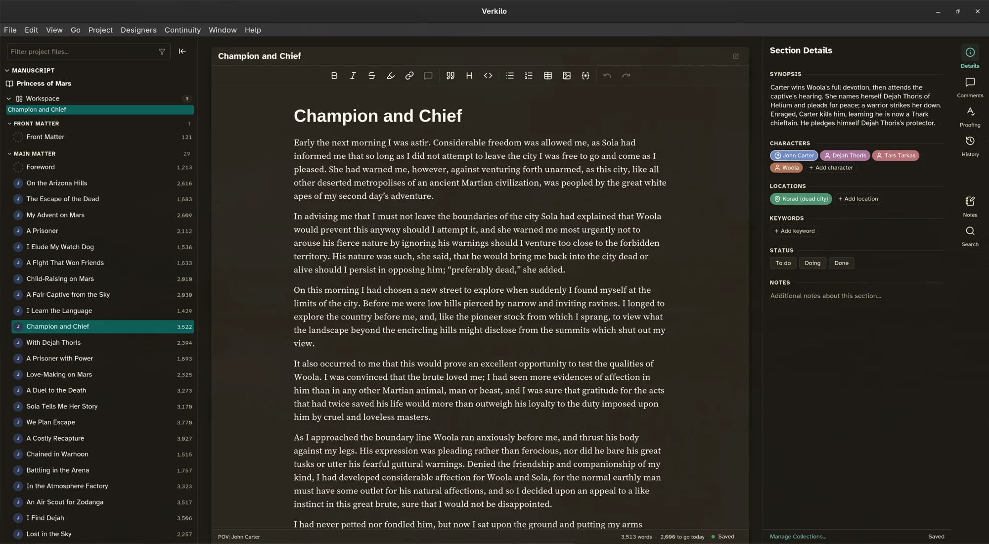 Verkilo editor with the workspace navigator and section details panels open