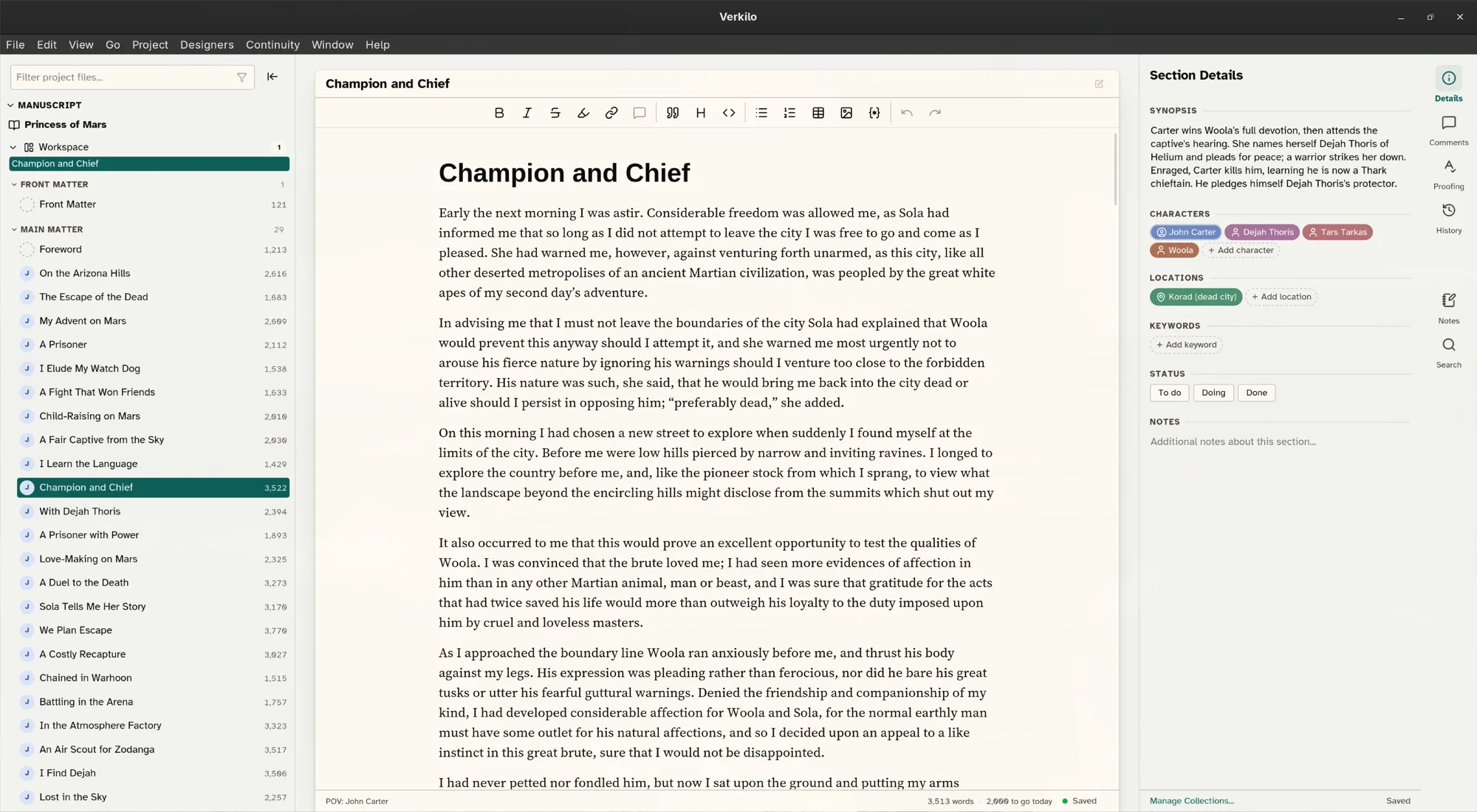 Verkilo editor with the workspace navigator and section details panels open